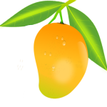 mango_PNG9180