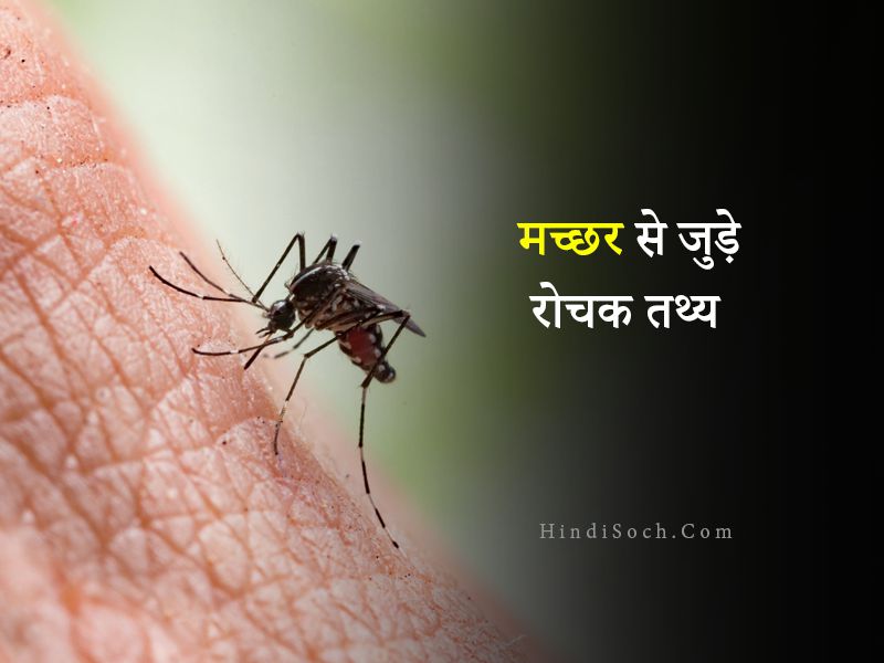 Amazing Facts about Mosquito in Hindi