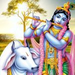 Lord Krishna Image HD New Cute Krishna Wallpaper