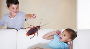 Facts about Cockroach in Hindi कॉकरोच से जुड़े रोचक तथ्य