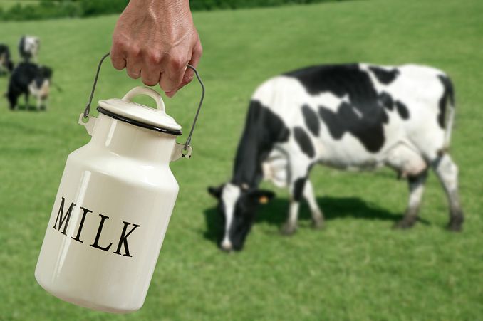 Milk Facts in Hindi Language Which can Blow Your Mind