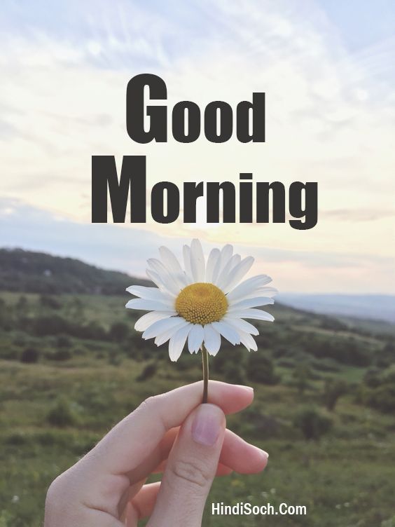 Beautiful Good Morning Images Wallpapers for Mobile