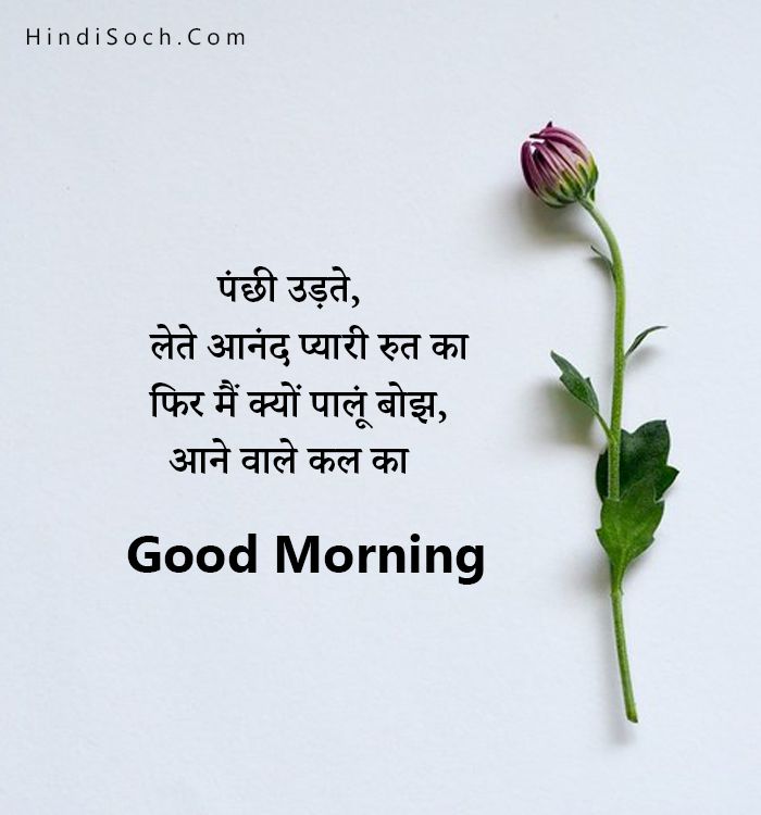 Good Morning Shayari - Hindi Soch