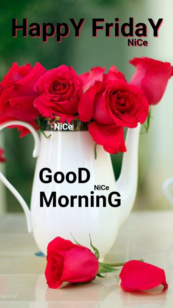 957+ {Friday} Good Morning Images Cards Photos & Wishes