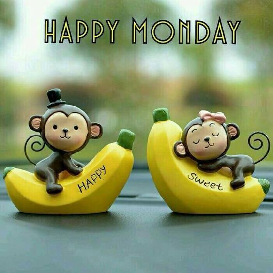 Monday Happy Good Morning HD Pictures