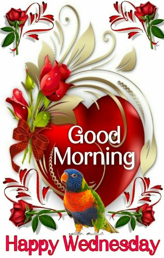 Wednesday Good Morning Wishes Wallpaper