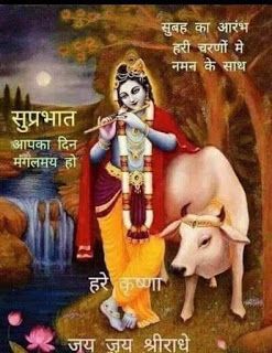 Hindi Krishna Quotes Good Morning Image