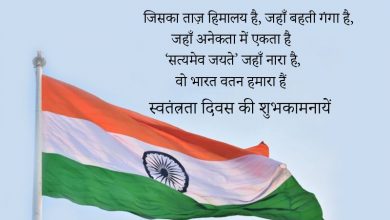 Best Independence Day Status in Hindi for 15 August