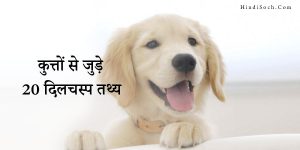 कुत्तों से जुड़े दिलचस्प तथ्य (Marvelous Facts about Dogs in Hindi)
