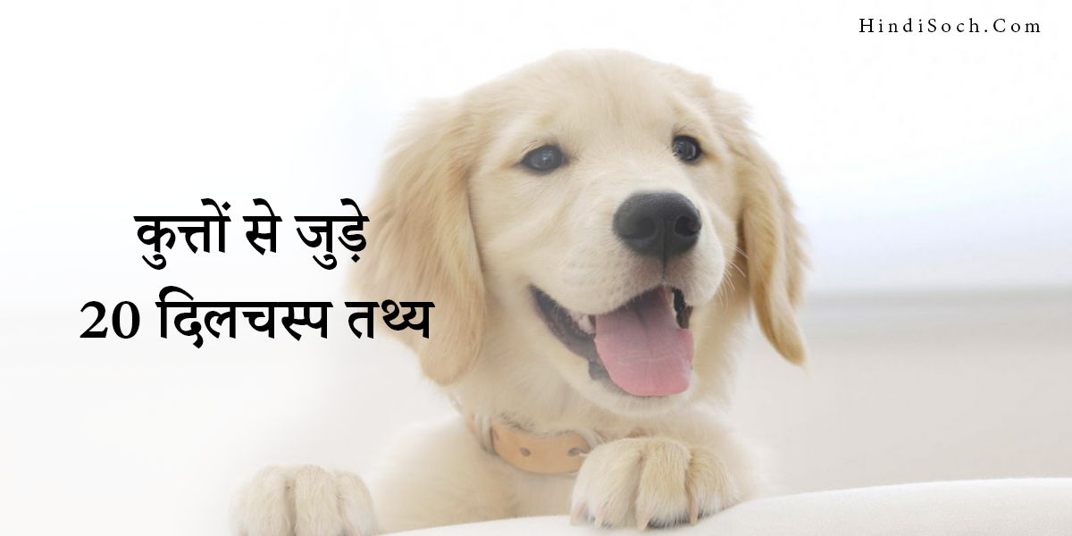 Interesting Dog Facts in Hindi